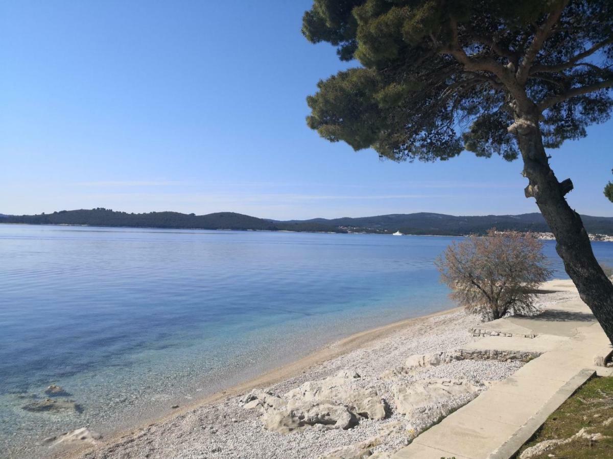 Sea And Pine Paradise أوروبيتش المظهر الخارجي الصورة