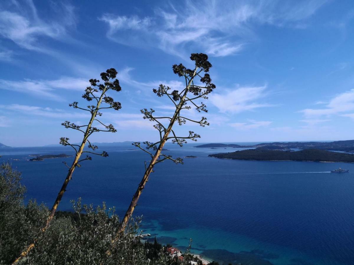 Sea And Pine Paradise أوروبيتش المظهر الخارجي الصورة